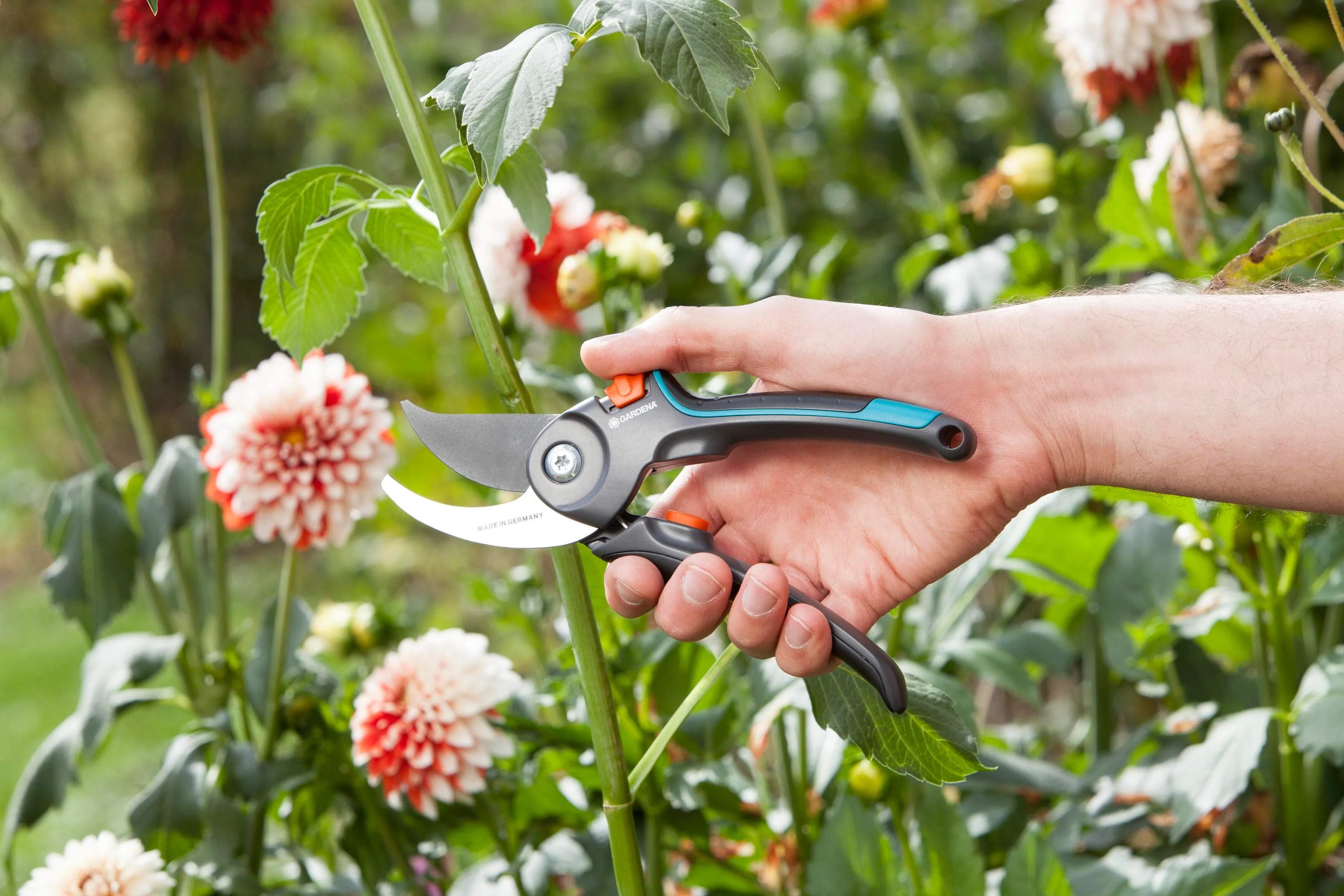 Garden Secateurs B/M - Image 5