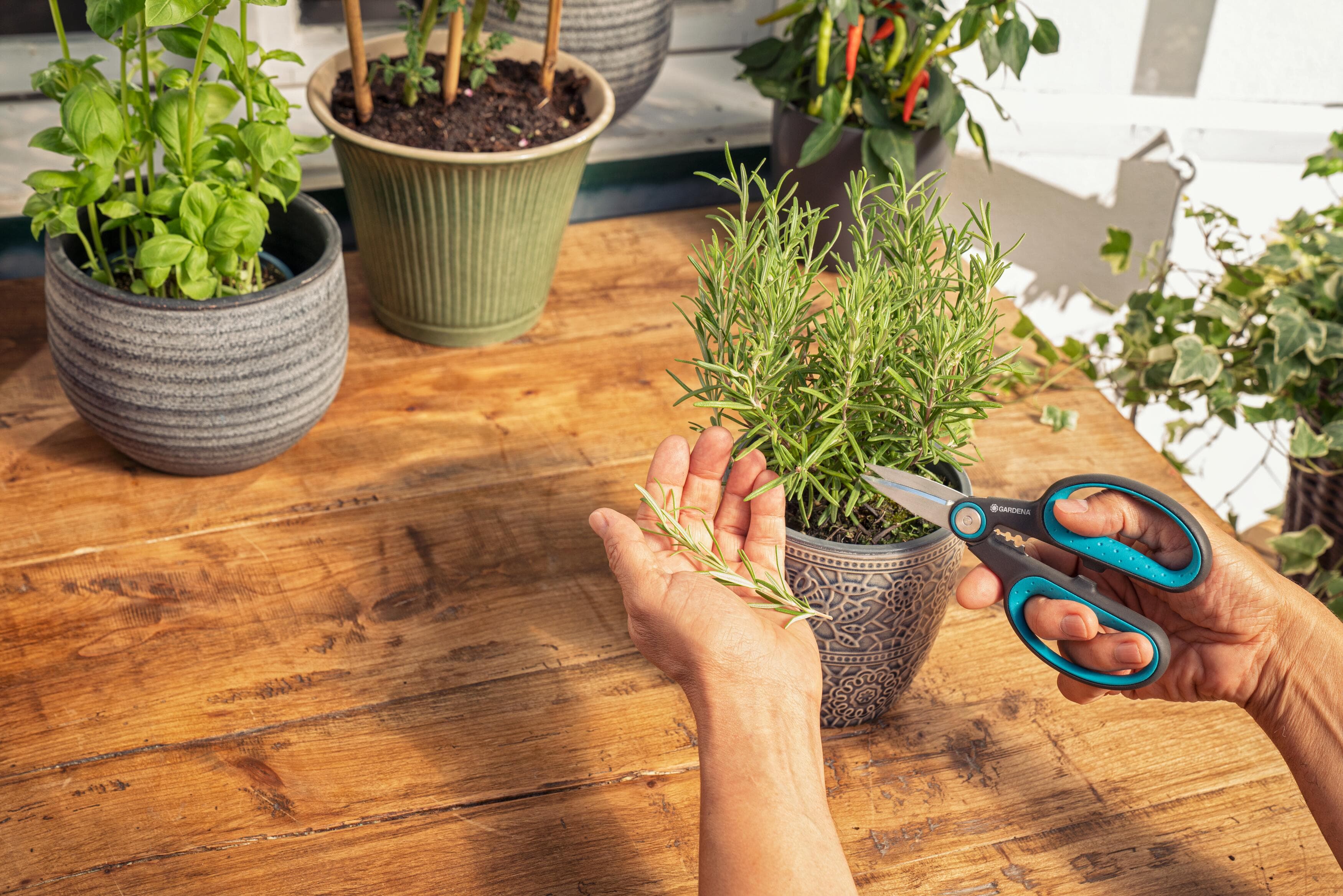 HerbCut Set - Image 5